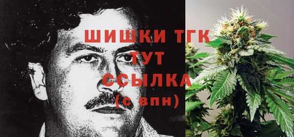 стаф Арсеньев