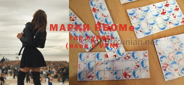 стаф Арсеньев