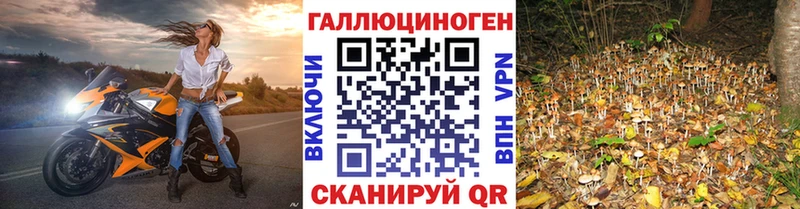 Галлюциногенные грибы ЛСД  цены   Асино 