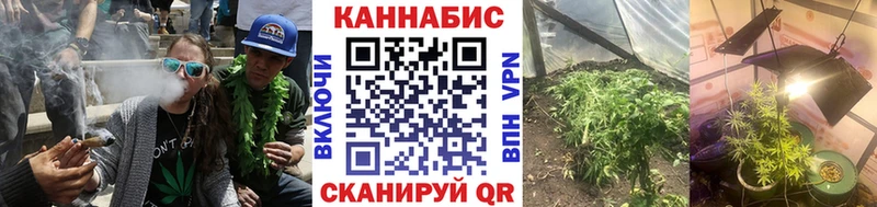 Шишки марихуана ГИДРОПОН  мориарти как зайти  Асино 